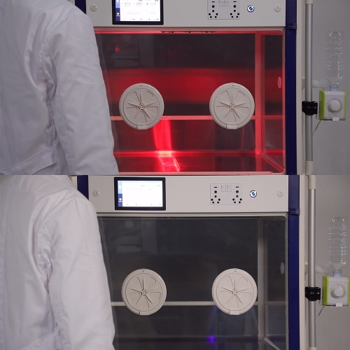 Брудер Curadle Smart incubator PRO PLUS 160 с IP-камерой